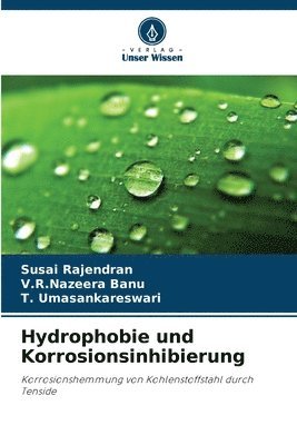 Hydrophobie und Korrosionsinhibierung 1