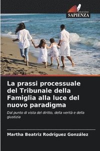 bokomslag La prassi processuale del Tribunale della Famiglia alla luce del nuovo paradigma