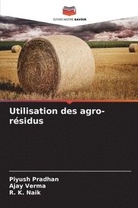 bokomslag Utilisation des agro-rsidus