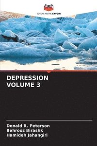 bokomslag Depression Volume 3