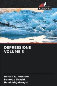 bokomslag Depressione Volume 3