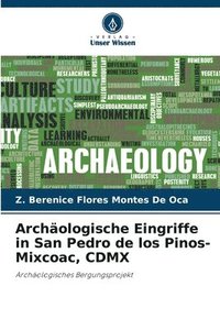 bokomslag Archologische Eingriffe in San Pedro de los Pinos-Mixcoac, CDMX