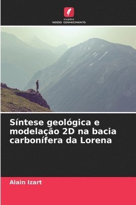 Sntese geolgica e modelao 2D na bacia carbonfera da Lorena 1