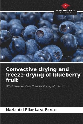 bokomslag Convective drying and freeze-drying of blueberry fruit