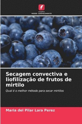 Secagem convectiva e liofilizao de frutos de mirtilo 1