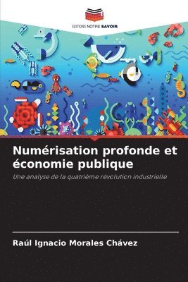 bokomslag Numrisation profonde et conomie publique