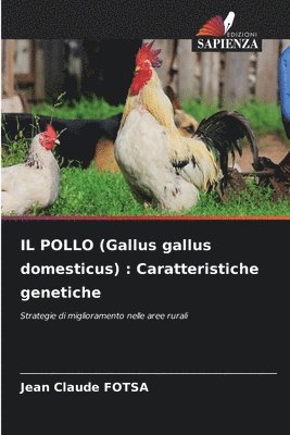 bokomslag IL POLLO (Gallus gallus domesticus)