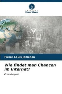 bokomslag Wie findet man Chancen im Internet?