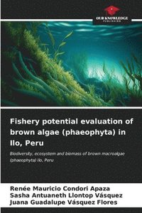 bokomslag Fishery potential evaluation of brown algae (phaeophyta) in Ilo, Peru