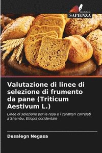 bokomslag Valutazione di linee di selezione di frumento da pane (Triticum Aestivum L.)