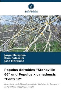 bokomslag Populus deltoides &quot;Stoneville 66&quot; und Populus x canadensis &quot;Conti 12&quot;