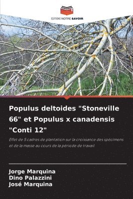 Populus deltoides &quot;Stoneville 66&quot; et Populus x canadensis &quot;Conti 12&quot; 1