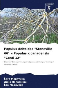 bokomslag Populus deltoides &quot;Stoneville 66&quot; &#1080; Populus x canadensis &quot;Conti 12&quot;