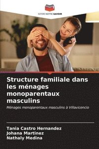 bokomslag Structure familiale dans les mnages monoparentaux masculins