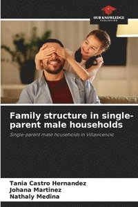 bokomslag Family structure in single-parent male households
