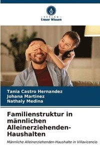bokomslag Familienstruktur in mnnlichen Alleinerziehenden-Haushalten