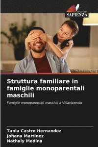 bokomslag Struttura familiare in famiglie monoparentali maschili