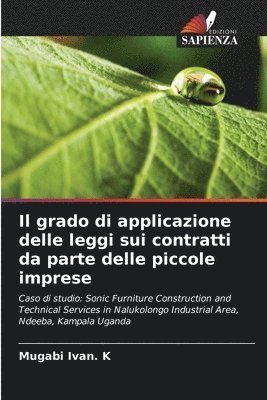 bokomslag Il grado di applicazione delle leggi sui contratti da parte delle piccole imprese