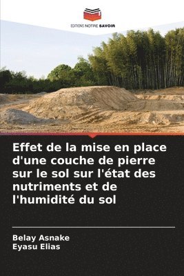 bokomslag Effet de la mise en place d'une couche de pierre sur le sol sur l'tat des nutriments et de l'humidit du sol