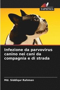 bokomslag Infezione da parvovirus canino nei cani da compagnia e di strada