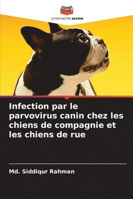 Infection par le parvovirus canin chez les chiens de compagnie et les chiens de rue 1