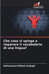 bokomslag Che cosa vi spinge a imparare il vocabolario di una lingua?