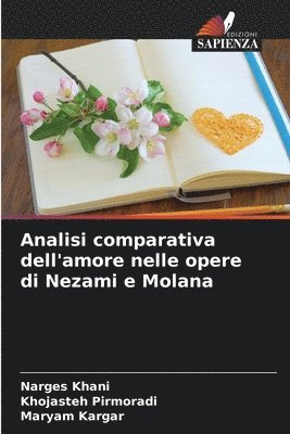 bokomslag Analisi comparativa dell'amore nelle opere di Nezami e Molana