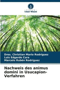 bokomslag Nachweis des animus domini in Usucapion-Verfahren