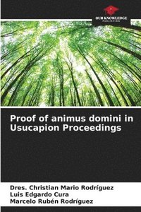 bokomslag Proof of animus domini in Usucapion Proceedings