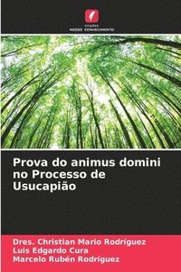 bokomslag Prova do animus domini no Processo de Usucapio