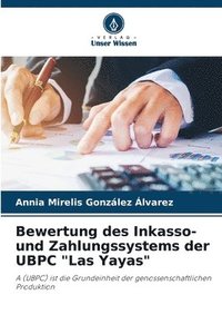 bokomslag Bewertung des Inkasso- und Zahlungssystems der UBPC &quot;Las Yayas&quot;