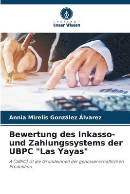 Bewertung des Inkasso- und Zahlungssystems der UBPC &quot;Las Yayas&quot; 1