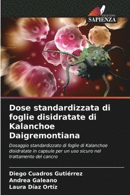 Dose standardizzata di foglie disidratate di Kalanchoe Daigremontiana 1