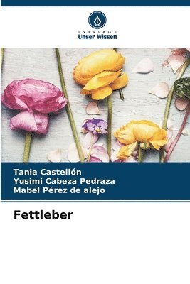 Fettleber 1