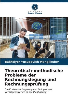 Theoretisch-methodische Probleme der Rechnungslegung und Rechnungsprfung 1