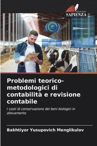 bokomslag Problemi teorico-metodologici di contabilit e revisione contabile