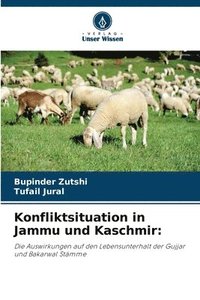 bokomslag Konfliktsituation in Jammu und Kaschmir