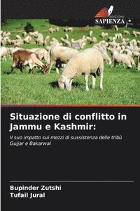 bokomslag Situazione di conflitto in Jammu e Kashmir