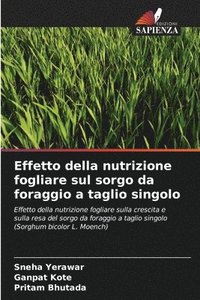 bokomslag Effetto della nutrizione fogliare sul sorgo da foraggio a taglio singolo