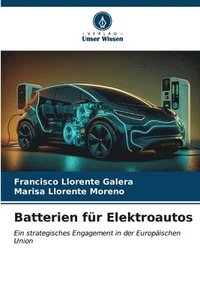 bokomslag Batterien fr Elektroautos