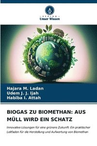 bokomslag Biogas Zu Biomethan