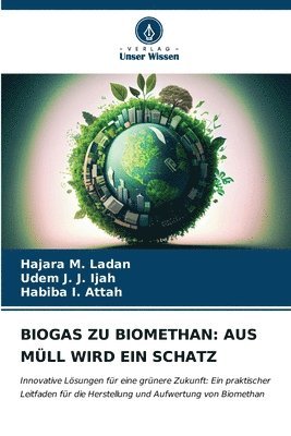 Biogas Zu Biomethan 1