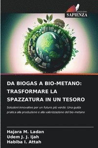 bokomslag Da Biogas a Bio-Metano