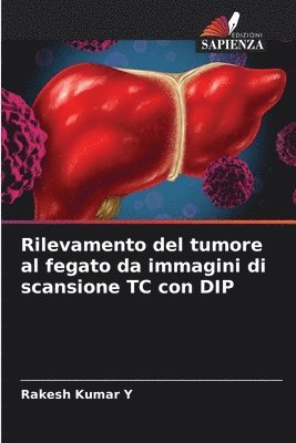 Rilevamento del tumore al fegato da immagini di scansione TC con DIP 1