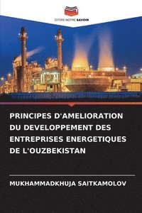 bokomslag Principes d'Amelioration Du Developpement Des Entreprises Energetiques de l'Ouzbekistan