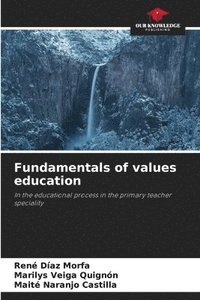 bokomslag Fundamentals of values education