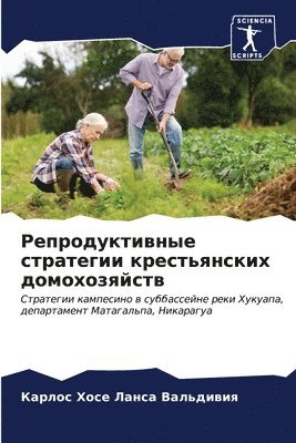 &#1056;&#1077;&#1087;&#1088;&#1086;&#1076;&#1091;&#1082;&#1090;&#1080;&#1074;&#1085;&#1099;&#1077; &#1089;&#1090;&#1088;&#1072;&#1090;&#1077;&#1075;&#1080;&#1080; 1