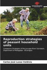 bokomslag Reproduction strategies of peasant household units