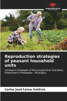 bokomslag Reproduction strategies of peasant household units