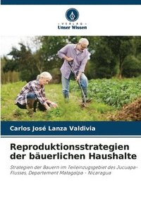 bokomslag Reproduktionsstrategien der buerlichen Haushalte